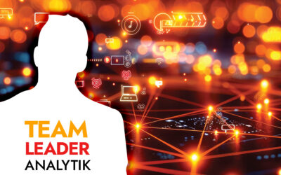 Team leader IT analytik